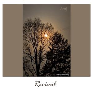 Revival
