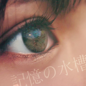 記憶の水槽