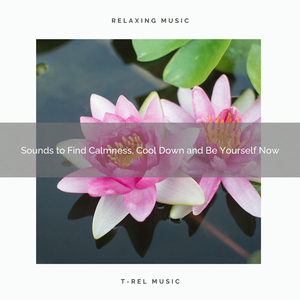 Unexplained Meditation Moments with Advanced Tunes