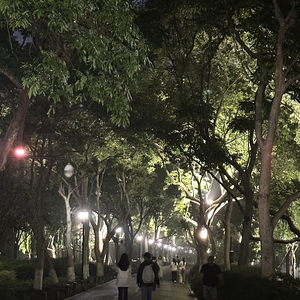 刻舟求剑