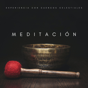 Musica Para Mentes Concentradas