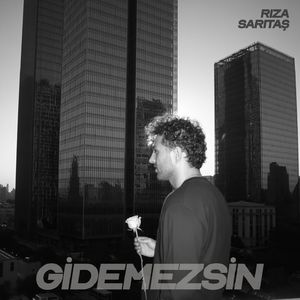 Gidemezsin