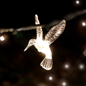 親愛的你快樂嗎