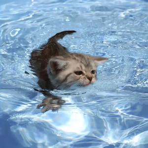 梦醒+爱如潮水Remix+说散就散+感谢你曾来过