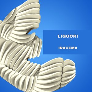 Iracema (Thomaz Krauze Remix)