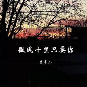 微风十里只要你