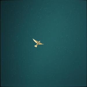 One Day You’ll See Remake