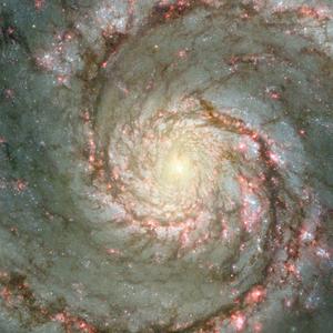 春天过后的暖意