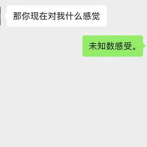 未知数感受（Pord.Roman)