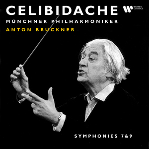Symphony No. 9 in D Minor, WAB 109:I. Feierlich, misterioso (Live at Philharmonie am Gasteig, 1995)