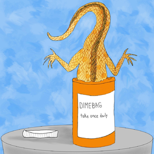 Dimebag