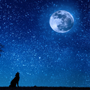 Night