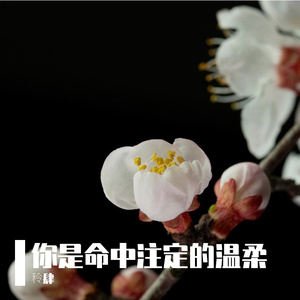 你是命中注定的温柔