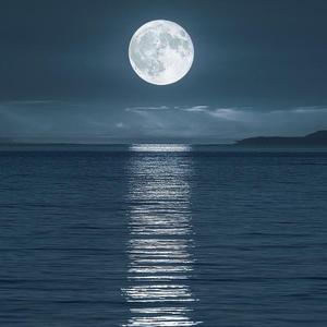 Moonwave