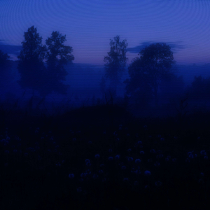 flow of emotions (speed up)