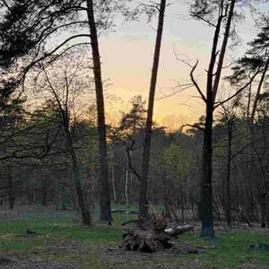 Пересечения