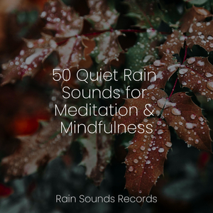 Misty Harbor Symphony