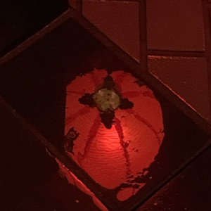 蘇州夜曲 (Cover)