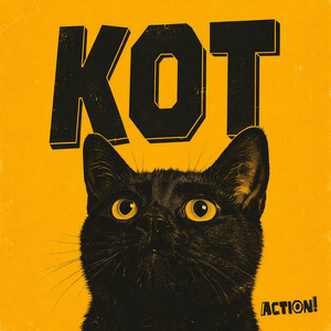 Кот