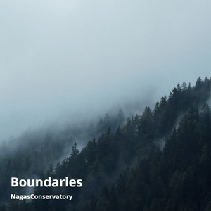 Boundaries