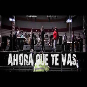 Ahora Que Te Vas De Mi