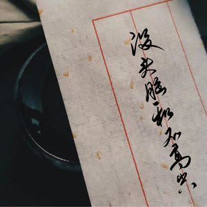 白茶花与火烈鸟