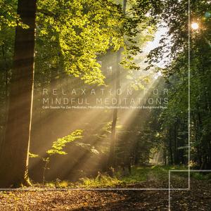 A New Vision Of Life