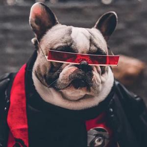 鼠辈（PROD BY FaunmU）