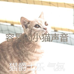 安静的猫在家声音