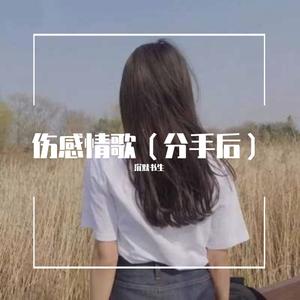 将军泪（DJ版）