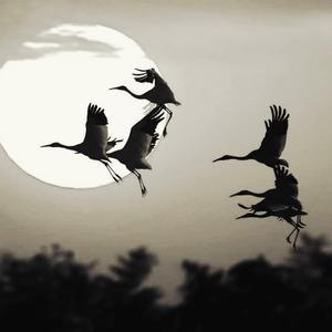 One Republic - If I Lose Myself (Remix)