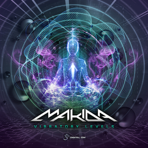 Vibratory Levels (Original Mix)