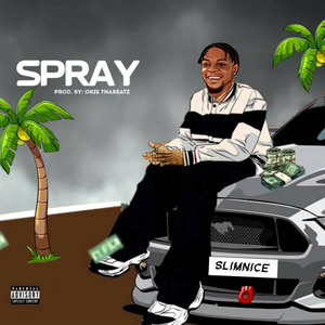 SPRAY (Audio)