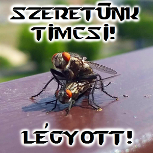 Szenvedünk és Szárnyalunk