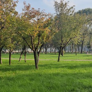 看不见、摸不着，但我会一直陪着你