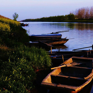 真正懂你的人交的是心