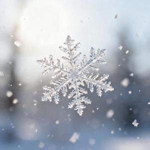 听雪说 (Cover 陈默默)