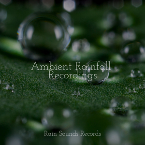 Whispers of the Hidden Grove