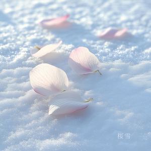桜雪