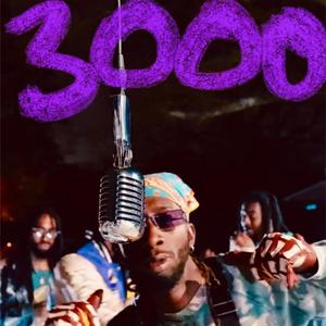 3000