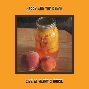 Drivel (Live) (Live)