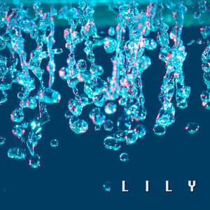 LILY