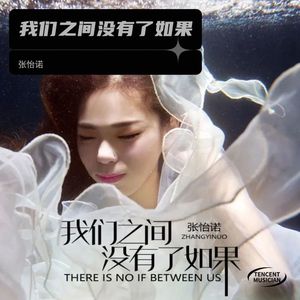 我们之间没有了如果（DJ沈念） (伴奏)