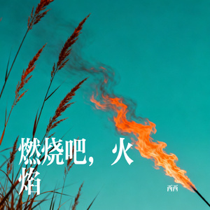 燃烧吧，火焰