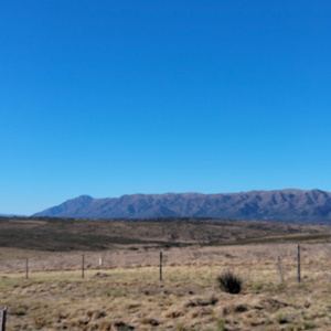 Eagleheart (Acoustic Version)