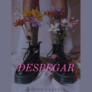 Despegar