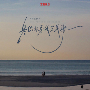 是你非要我写成歌（DJ版）