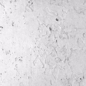 《A cipher freestyle》（无名小卒）