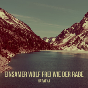 Einsamer Wolf Frei Wie Der Rabe