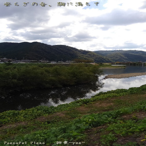 海のせせらぎが誘う旅